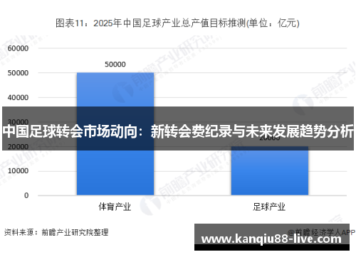 中国足球转会市场动向：新转会费纪录与未来发展趋势分析